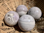 Polished Rare Orbicular Ocean Jasper Spheres - Sold Per Piece - From Madagascar