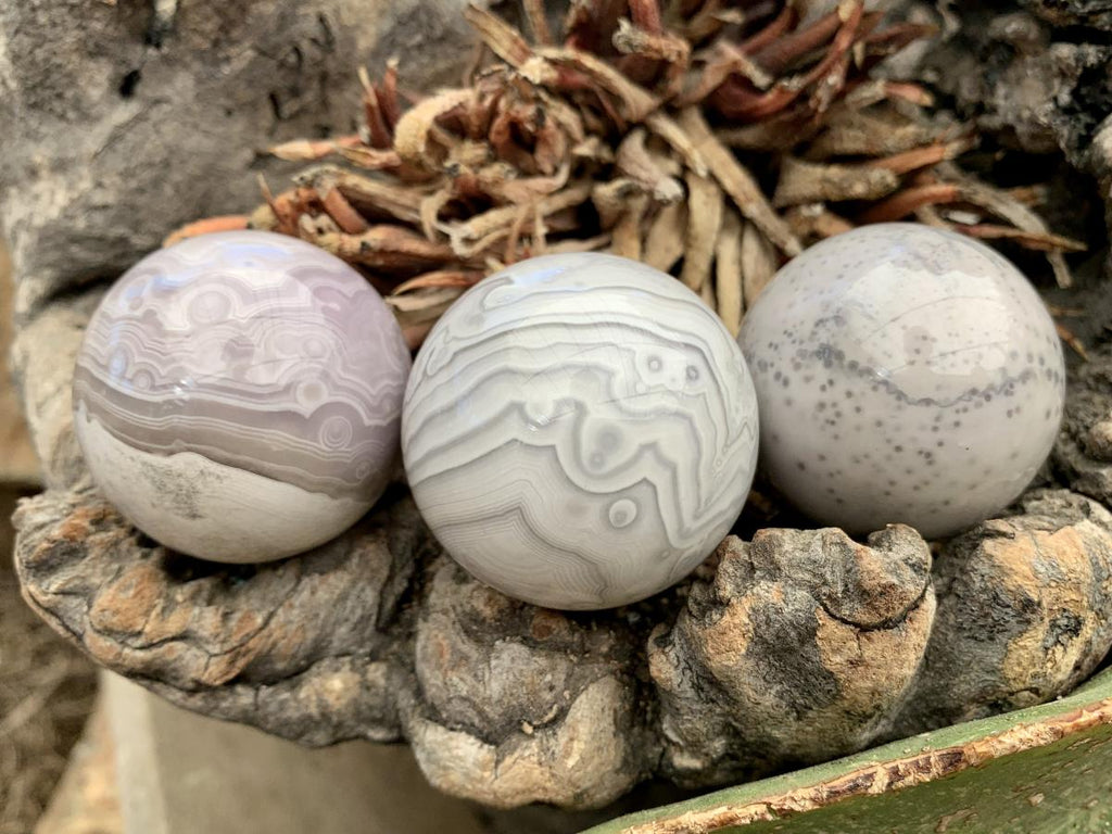 Polished Rare Orbicular Ocean Jasper Spheres - Sold Per Piece - From Madagascar