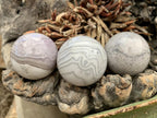 Polished Rare Orbicular Ocean Jasper Spheres - Sold Per Piece - From Madagascar