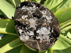 Polished Septerye "Dragon's Egg" with Black Calcite Centre and Gypsum Crystals x 1 From Mahajanga, Madagascar