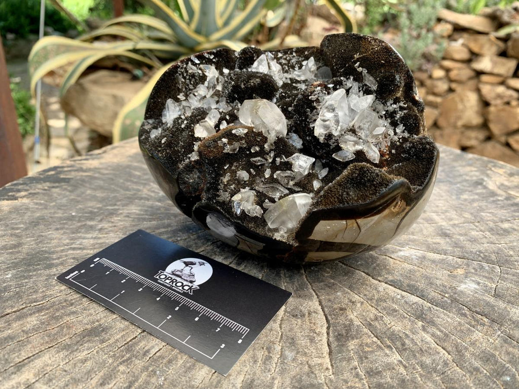 Polished Septerye "Dragon's Egg" with Black Calcite Centre and Gypsum Crystals x 1 From Mahajanga, Madagascar