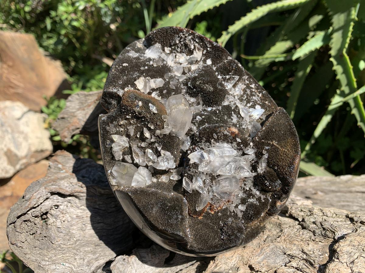 Polished Septerye "Dragon's Egg" with Black Calcite Centre and Gypsum Crystals x 1 From Mahajanga, Madagascar