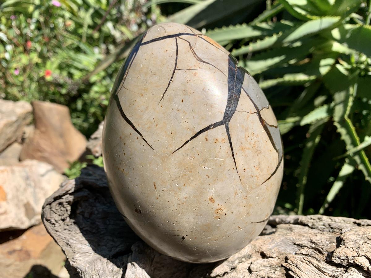 Polished Septerye "Dragon's Egg" with Black Calcite Centre and Gypsum Crystals x 1 From Mahajanga, Madagascar