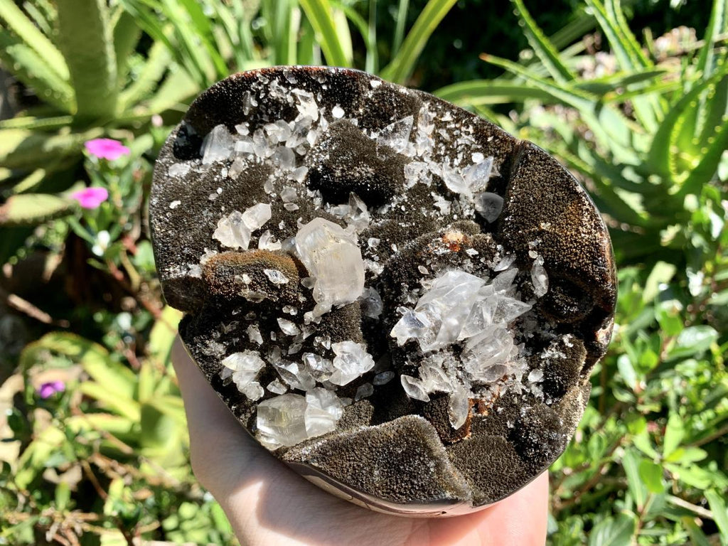 Polished Septerye "Dragon's Egg" with Black Calcite Centre and Gypsum Crystals x 1 From Mahajanga, Madagascar