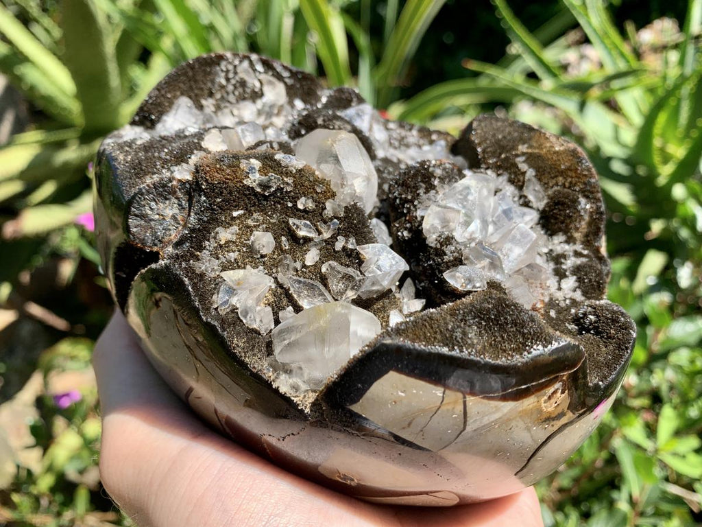 Polished Septerye "Dragon's Egg" with Black Calcite Centre and Gypsum Crystals x 1 From Mahajanga, Madagascar