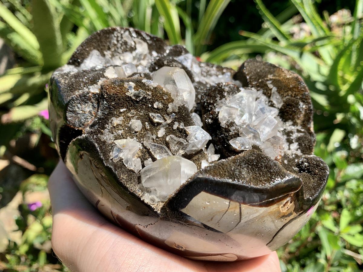 Polished Septerye "Dragon's Egg" with Black Calcite Centre and Gypsum Crystals x 1 From Mahajanga, Madagascar