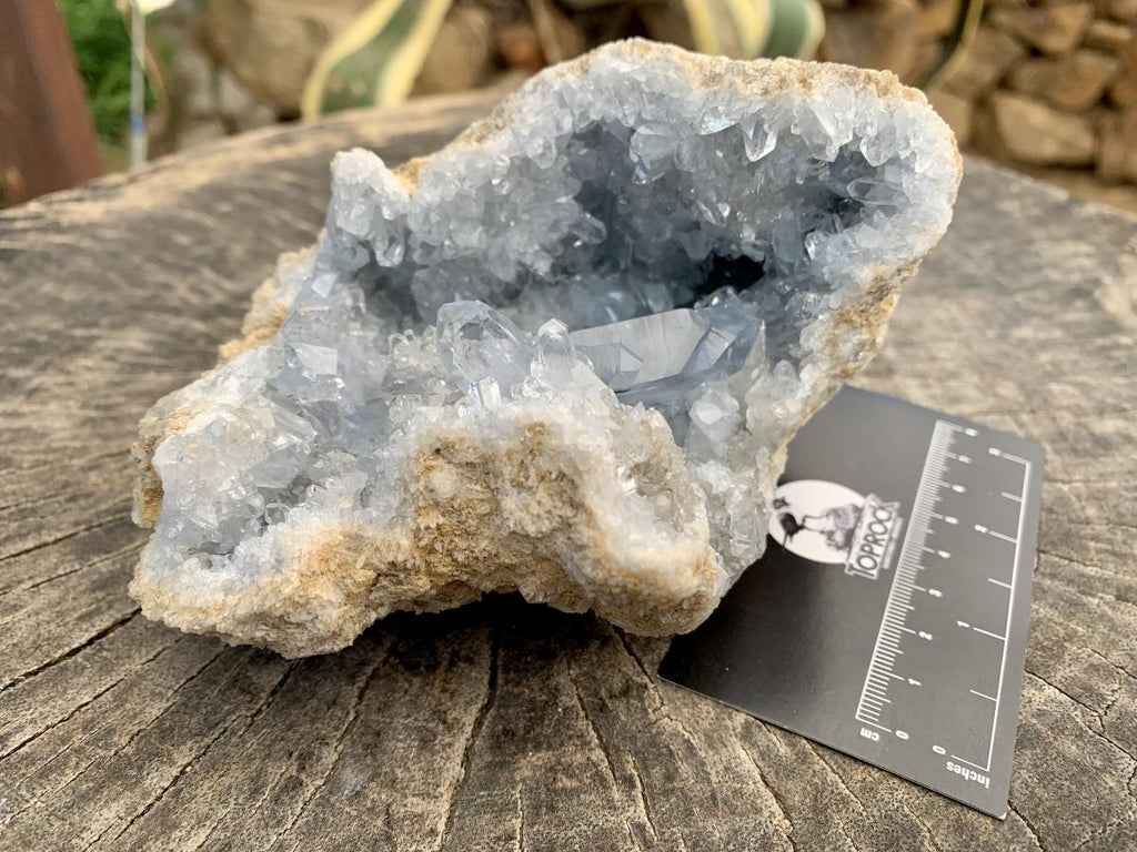 Natural Small Acicular Prismatic Celestite Geode x 1 From Madagascar