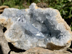 Natural Small Acicular Prismatic Celestite Geode x 1 From Madagascar