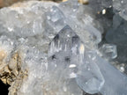 Natural Small Acicular Prismatic Celestite Geode x 1 From Madagascar