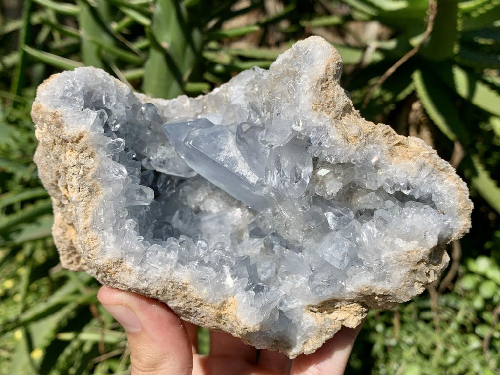 Natural Small Acicular Prismatic Celestite Geode x 1 From Madagascar