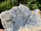 Natural Small Acicular Prismatic Celestite Geode x 1 From Madagascar