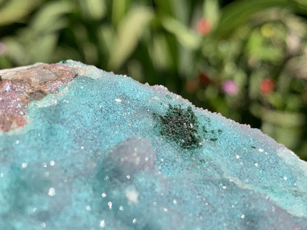 Natural Drusy Coated Chrysocolla and Salrose on Dolomite x 1 From Likasi, Congo