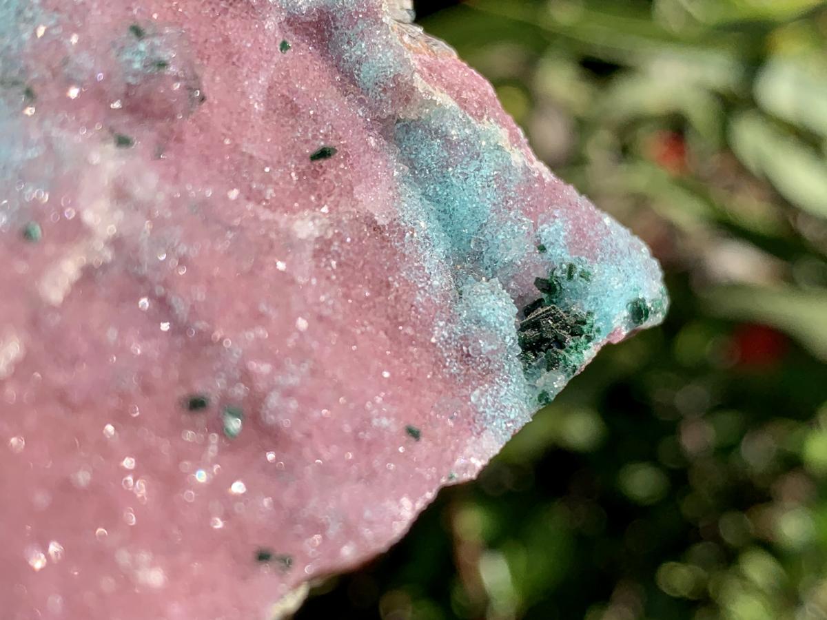 Natural Drusy Coated Chrysocolla and Salrose on Dolomite x 1 From Likasi, Congo
