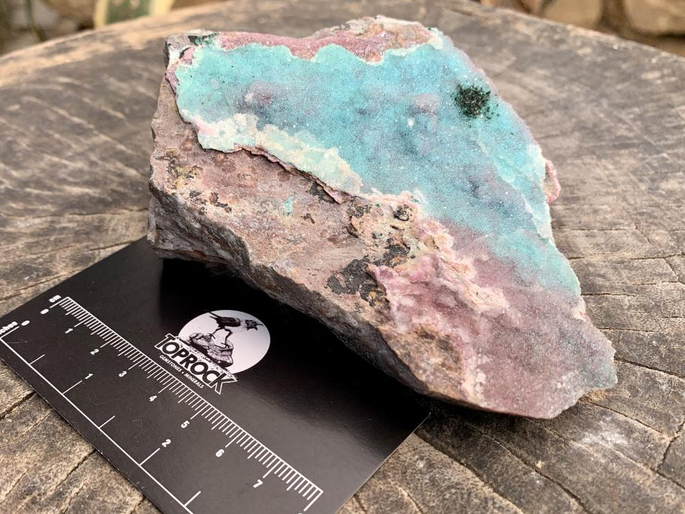 Natural Drusy Coated Chrysocolla and Salrose on Dolomite x 1 From Likasi, Congo
