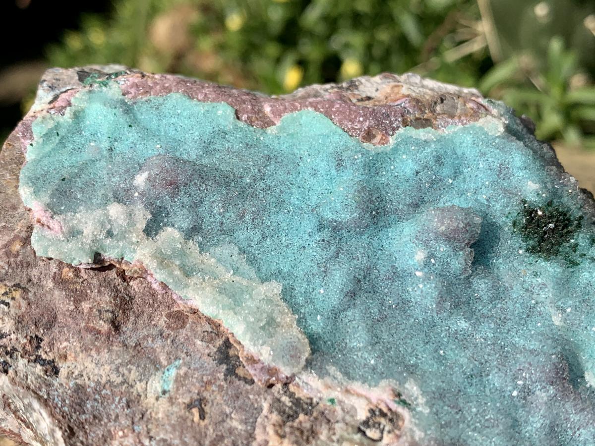 Natural Drusy Coated Chrysocolla and Salrose on Dolomite x 1 From Likasi, Congo