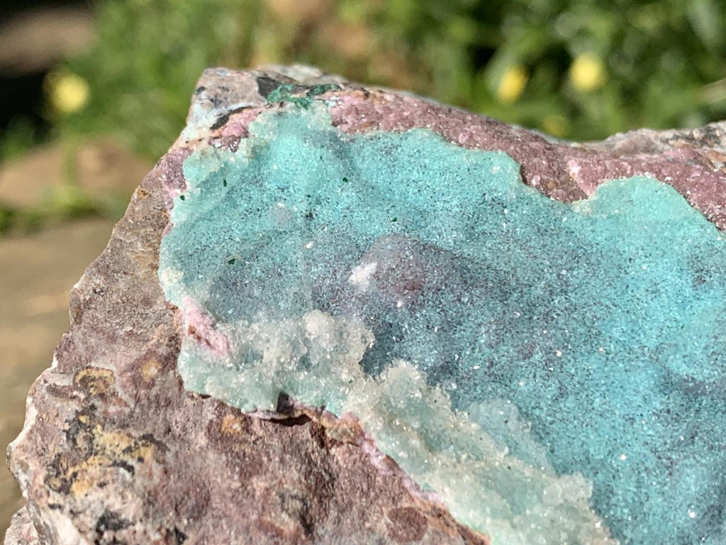 Natural Drusy Coated Chrysocolla and Salrose on Dolomite x 1 From Likasi, Congo