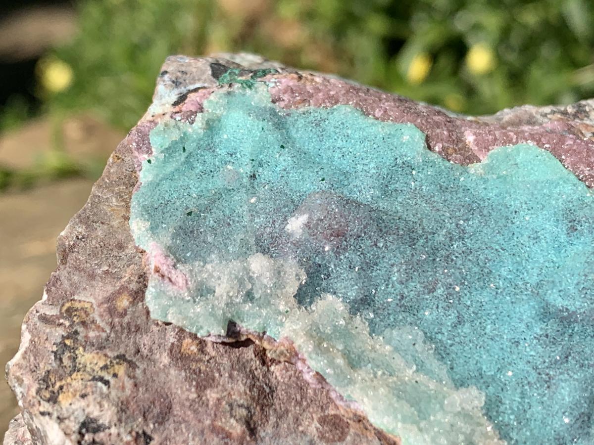 Natural Drusy Coated Chrysocolla and Salrose on Dolomite x 1 From Likasi, Congo