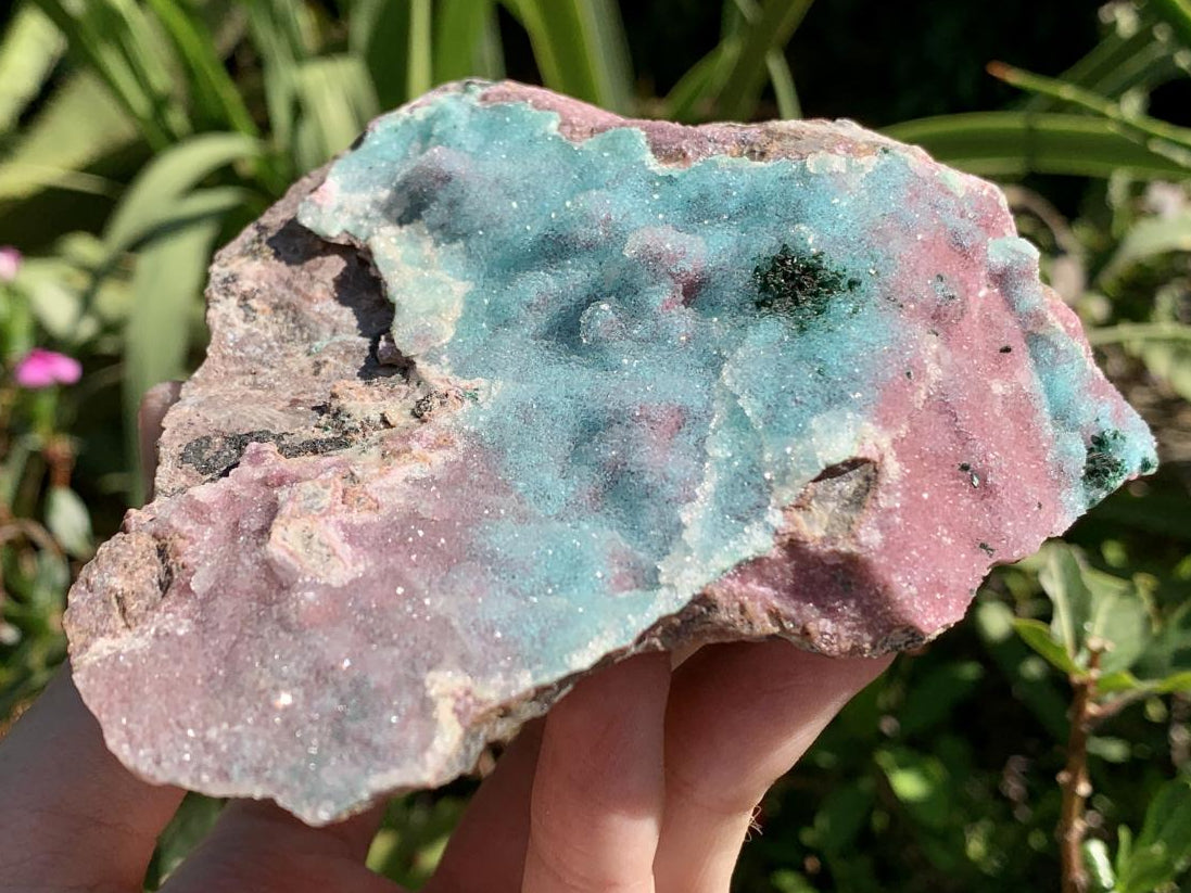 Natural Drusy Coated Chrysocolla and Salrose on Dolomite x 1 From Likasi, Congo