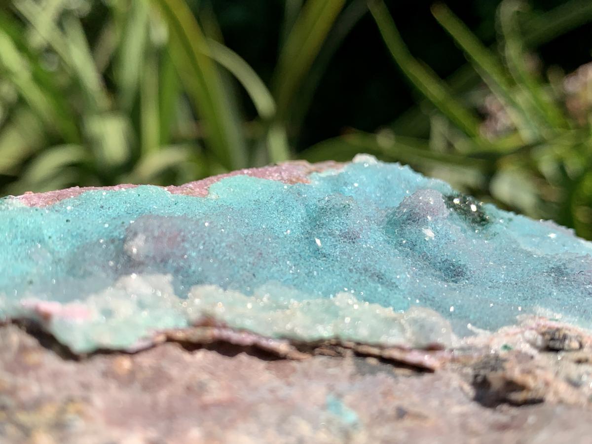 Natural Drusy Coated Chrysocolla and Salrose on Dolomite x 1 From Likasi, Congo