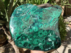 Polished Large Flat Silky Malachite Plate Specimen x 1 From Kasompe, Congo