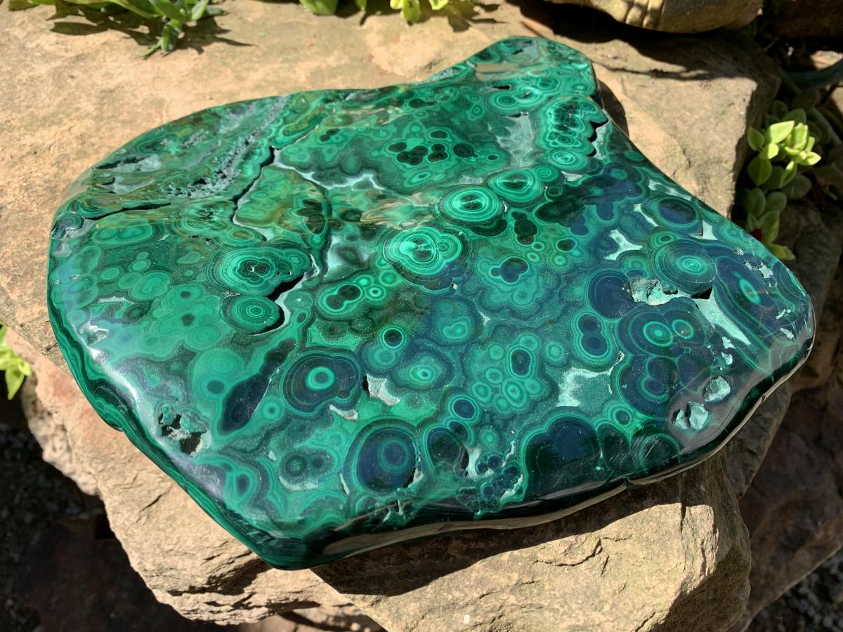 Polished Large Flat Silky Malachite Plate Specimen x 1 From Kasompe, Congo