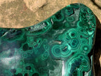 Polished Large Flat Silky Malachite Plate Specimen x 1 From Kasompe, Congo