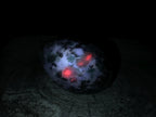 Polished Mutokolite Emerald Muscovite Mica Free Form with Fluorescent Rubies x 1 From Mutoko, Great Dyke, Zimbabwe
