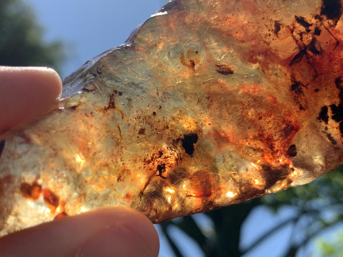 Natural Large Copal Amber Specimen x 1 From Nosy Varika, Madagascar