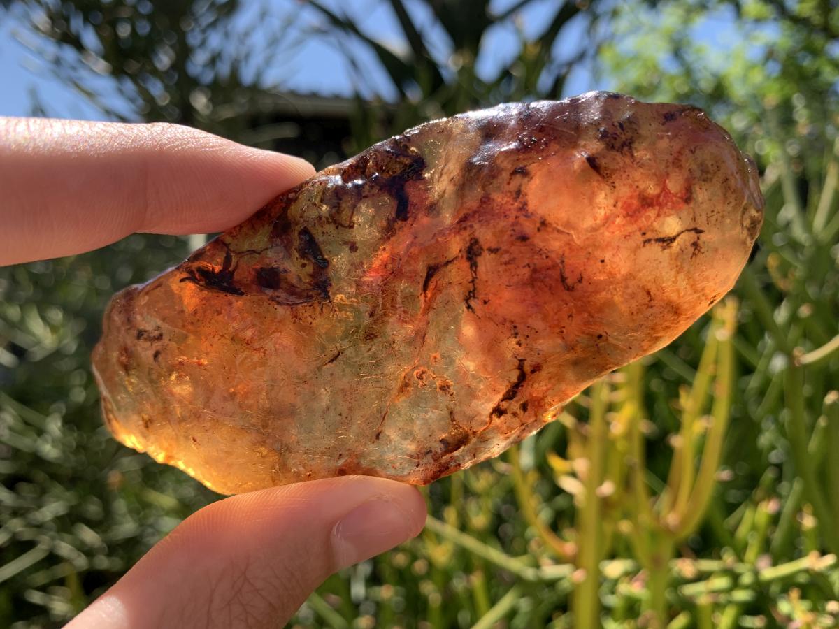 Natural Large Copal Amber Specimen x 1 From Nosy Varika, Madagascar