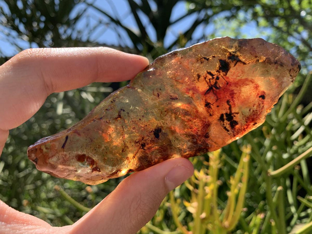 Natural Large Copal Amber Specimen x 1 From Nosy Varika, Madagascar