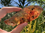 Natural Large Copal Amber Specimen x 1 From Nosy Varika, Madagascar