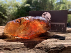 Natural Large Copal Amber Specimen x 1 From Nosy Varika, Madagascar