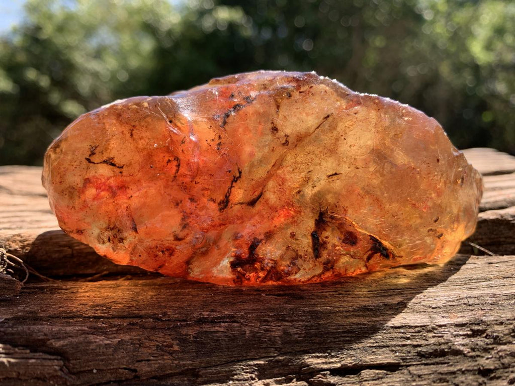 Natural Large Copal Amber Specimen x 1 From Nosy Varika, Madagascar
