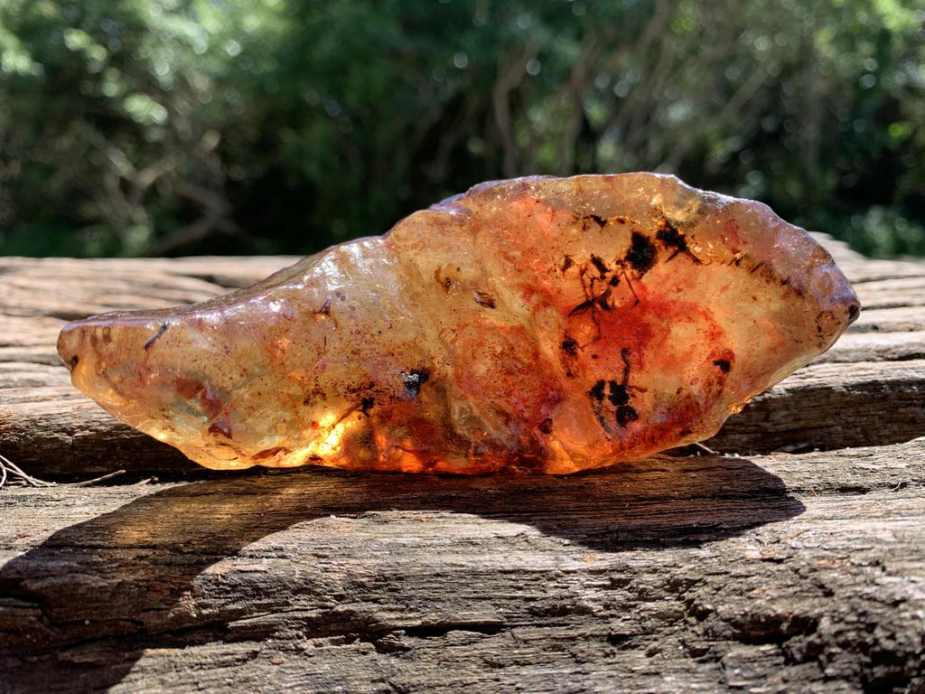 Natural Large Copal Amber Specimen x 1 From Nosy Varika, Madagascar