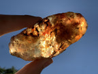 Natural Large Copal Amber Specimen x 1 From Nosy Varika, Madagascar