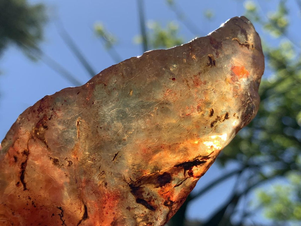 Natural Large Copal Amber Specimen x 1 From Nosy Varika, Madagascar