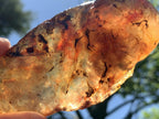 Natural Large Copal Amber Specimen x 1 From Nosy Varika, Madagascar