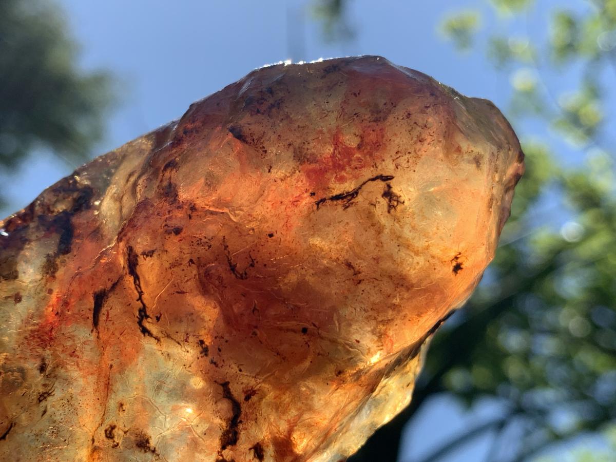 Natural Large Copal Amber Specimen x 1 From Nosy Varika, Madagascar