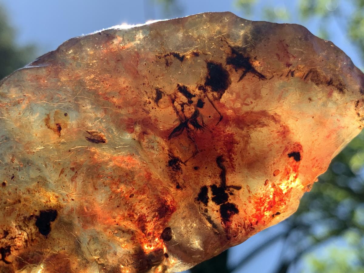 Natural Large Copal Amber Specimen x 1 From Nosy Varika, Madagascar