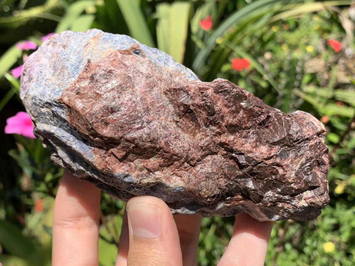 Natural Super Rare Blue Richterite with Sugilite x 1 From Wessels Mine, Northern Cape, South Africa