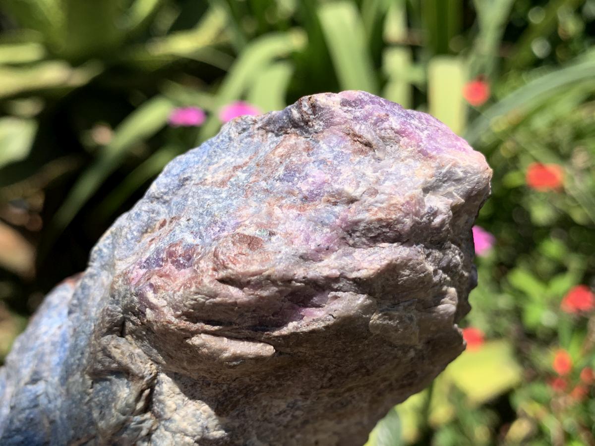 Natural Super Rare Blue Richterite with Sugilite x 1 From Wessels Mine, Northern Cape, South Africa