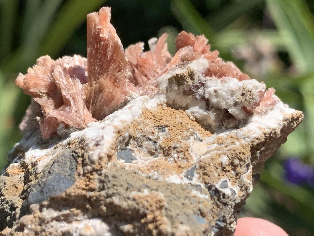 Natural Super Rare Inesite Specimen x 1 From Wessels Mine, Northern Cape, South Africa