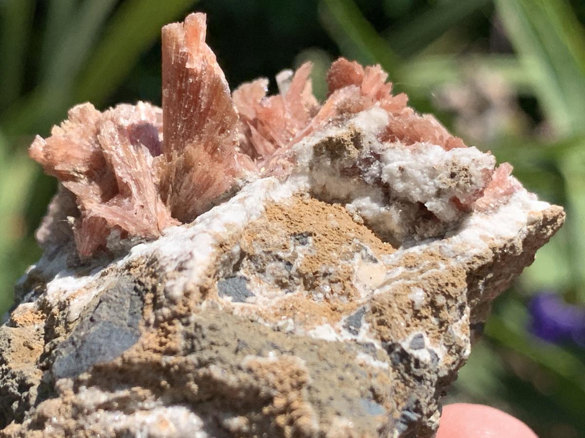 Natural Super Rare Inesite Specimen x 1 From Wessels Mine, Northern Cape, South Africa