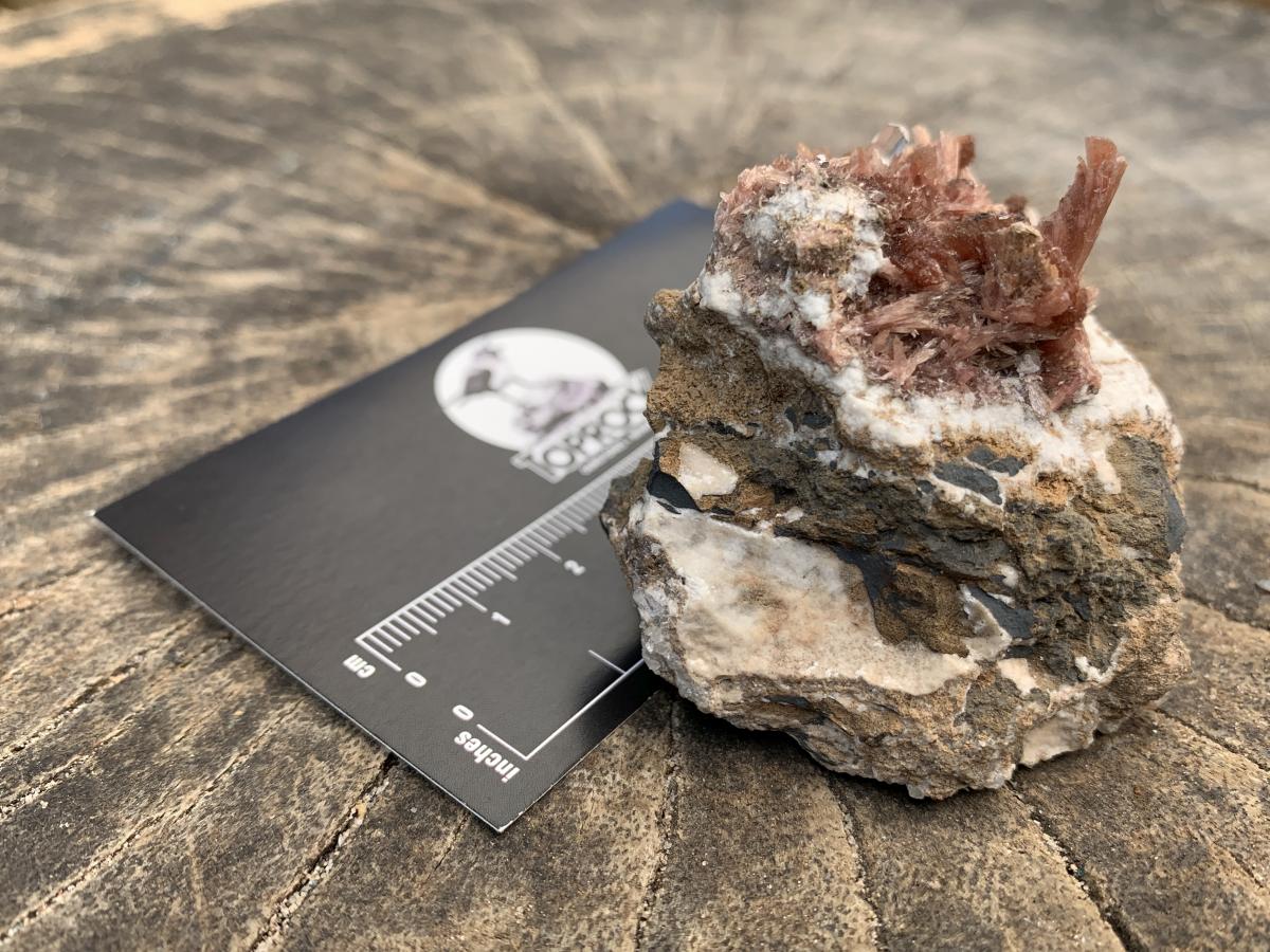 Natural Super Rare Inesite Specimen x 1 From Wessels Mine, Northern Cape, South Africa