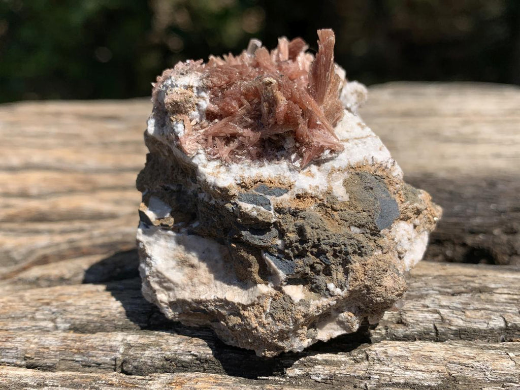 Natural Super Rare Inesite Specimen x 1 From Wessels Mine, Northern Cape, South Africa