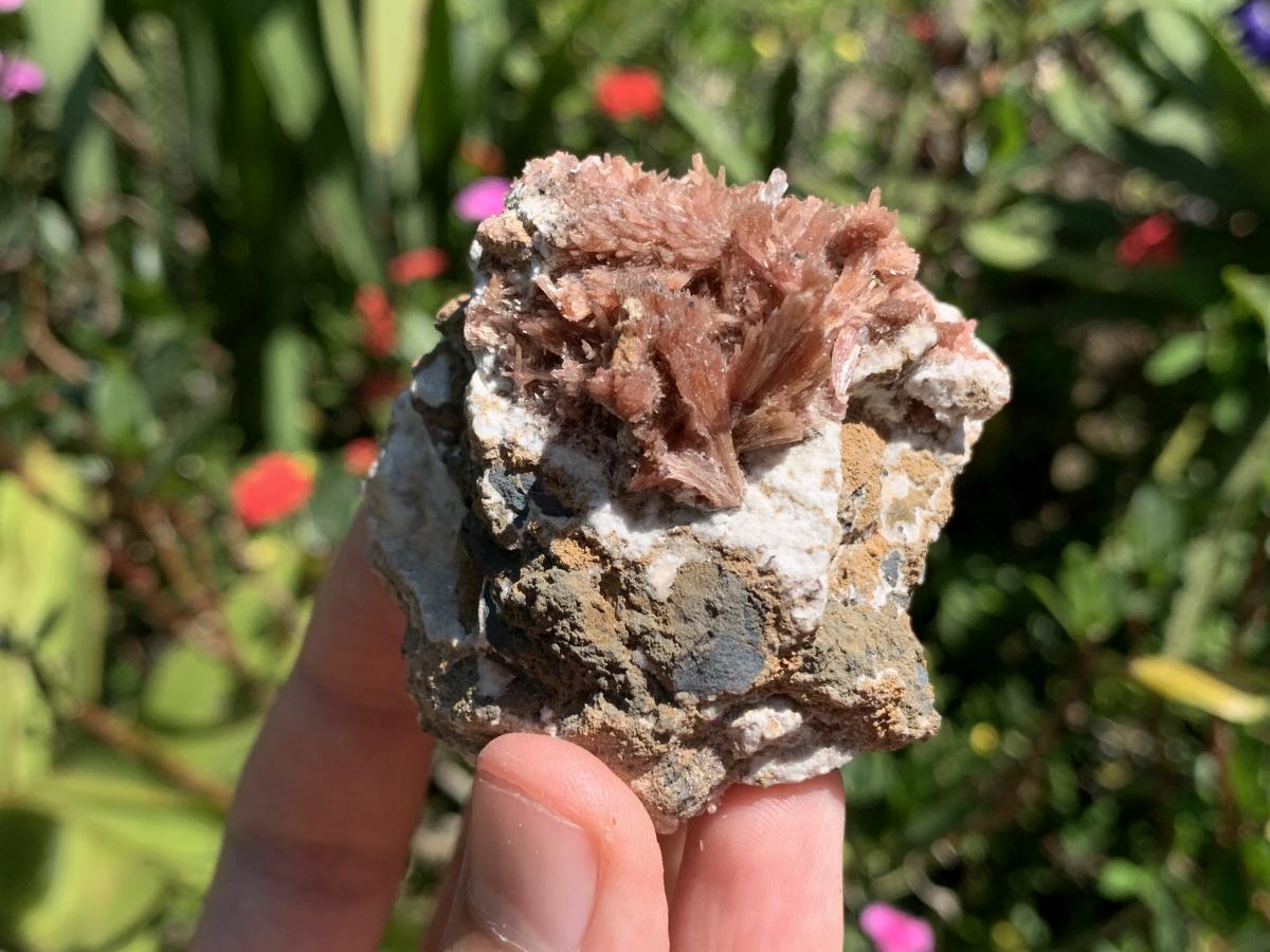 Natural Super Rare Inesite Specimen x 1 From Wessels Mine, Northern Cape, South Africa