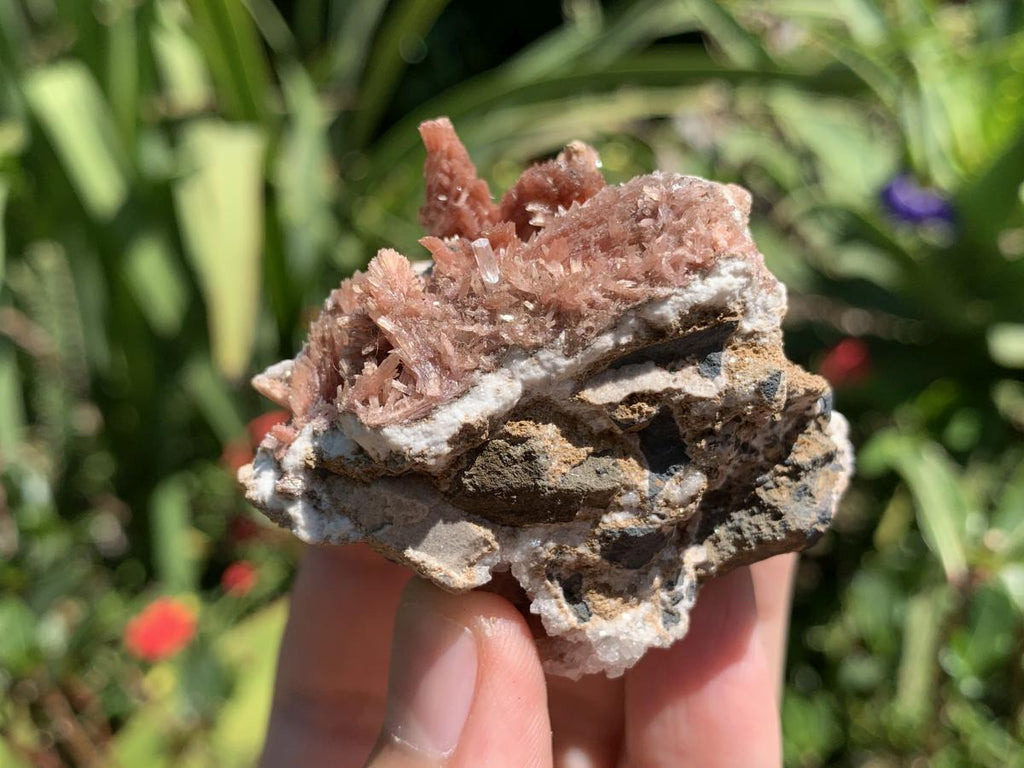 Natural Super Rare Inesite Specimen x 1 From Wessels Mine, Northern Cape, South Africa