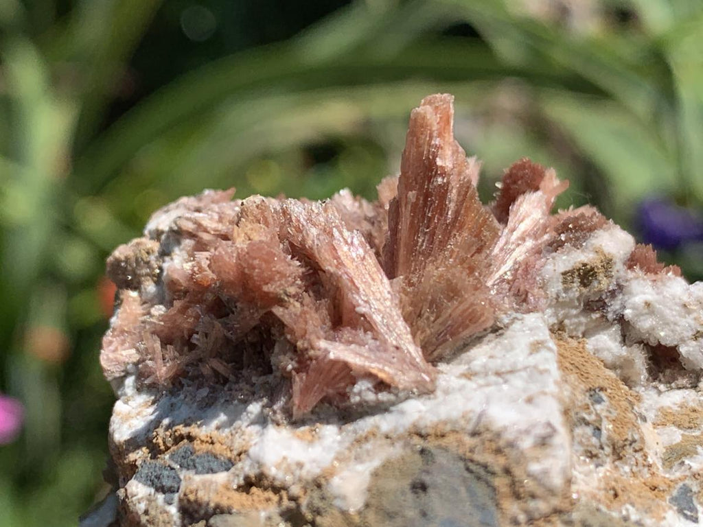 Natural Super Rare Inesite Specimen x 1 From Wessels Mine, Northern Cape, South Africa