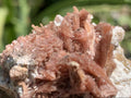 Natural Super Rare Inesite Specimen x 1 From Wessels Mine, Northern Cape, South Africa