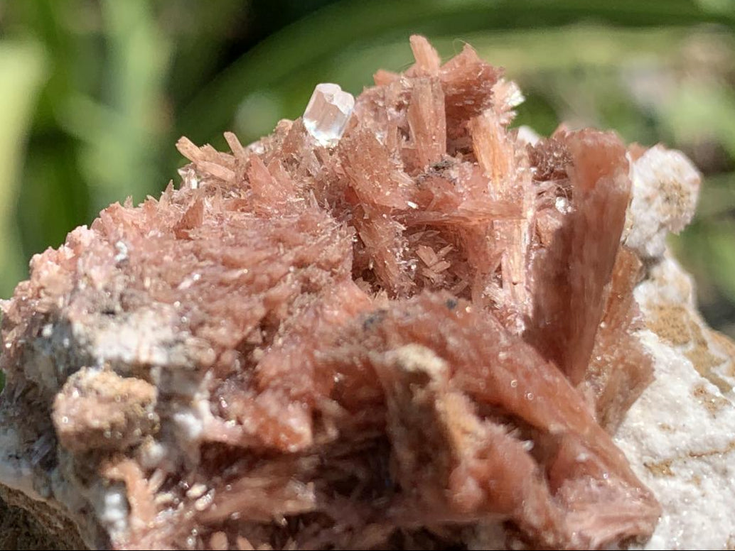 Natural Super Rare Inesite Specimen x 1 From Wessels Mine, Northern Cape, South Africa